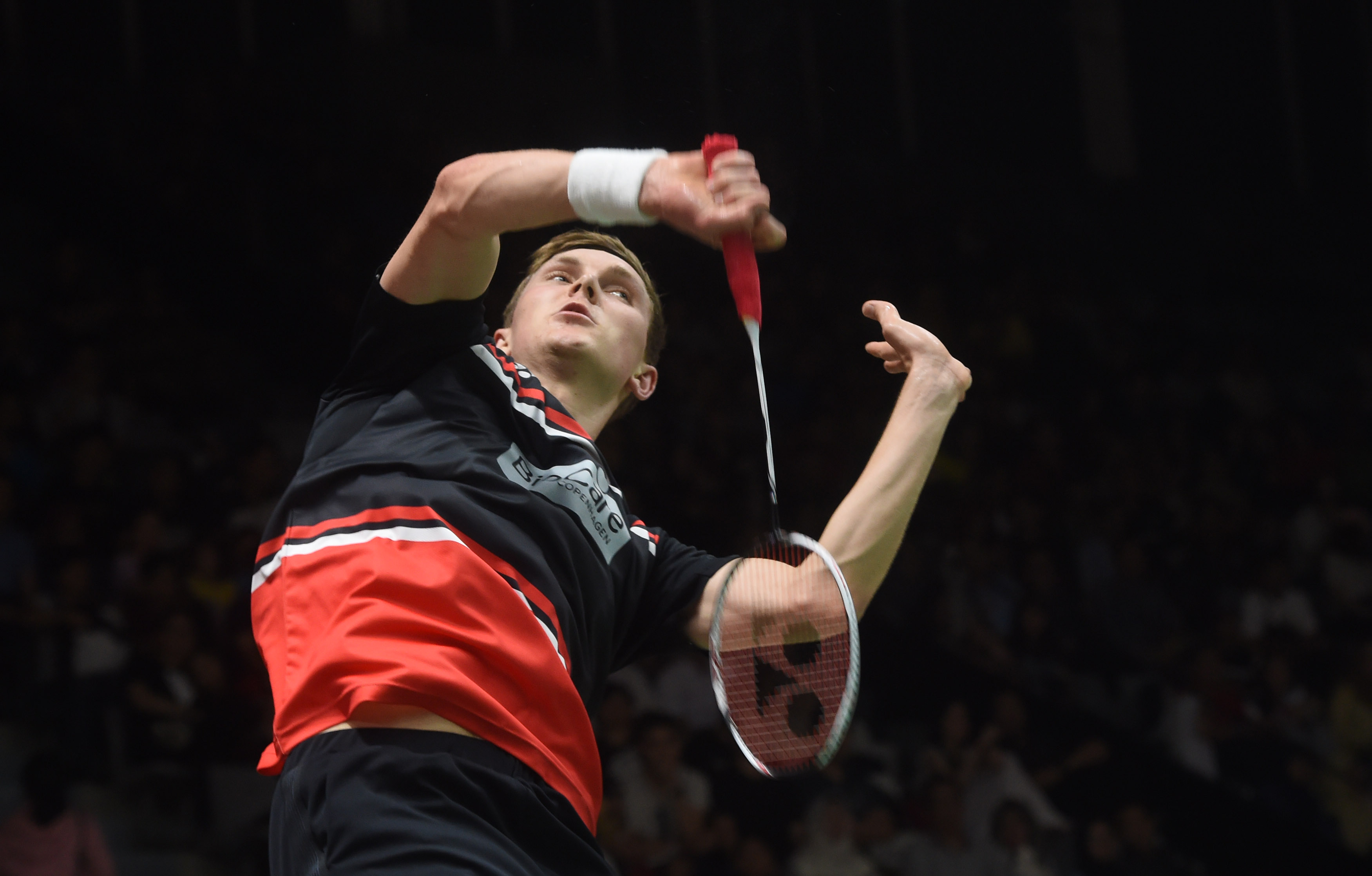 小波特也通 小波特也通