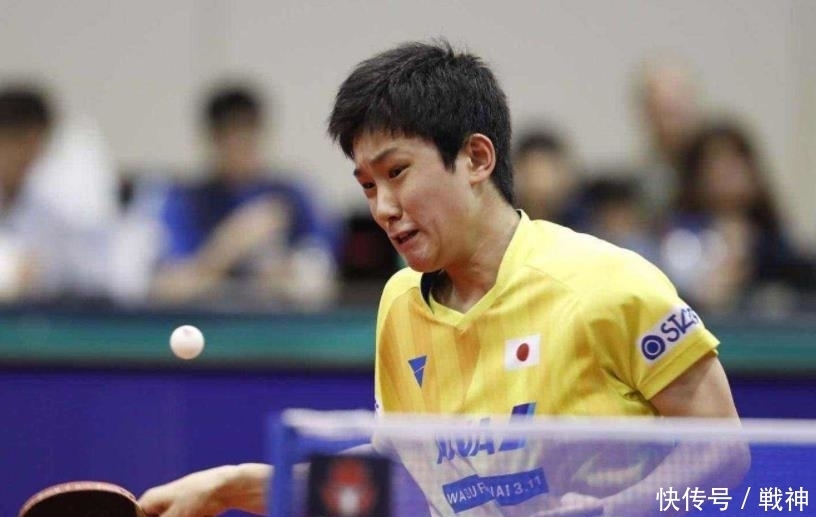 场的变动和 场的变动和