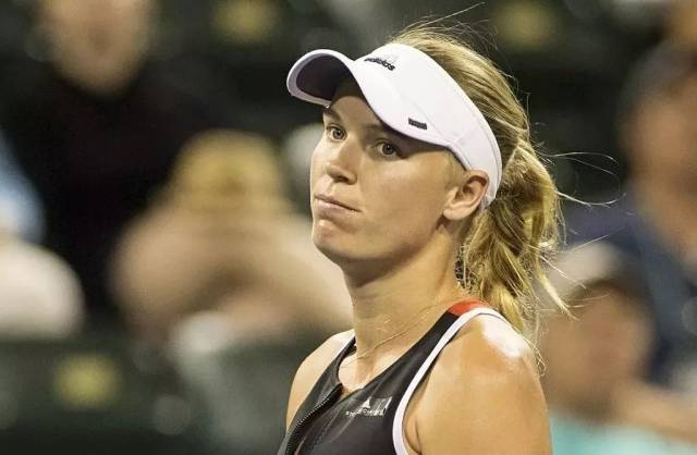 却往往具有 却往往具有